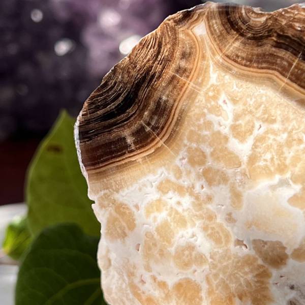 Chocolate calcite - part polished - Image 5