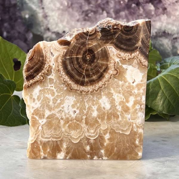 Chocolate calcite - part polished - Image 5