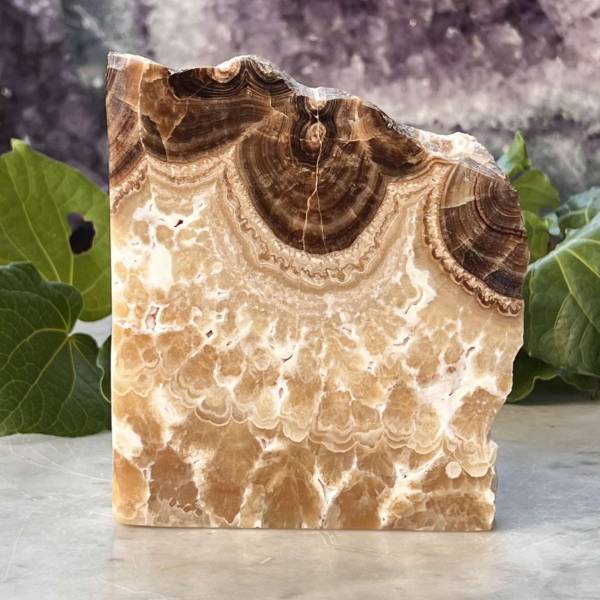 Chocolate calcite - part polished - Image 4