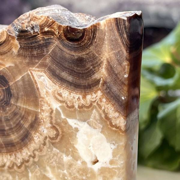 Chocolate calcite - part polished - Image 6