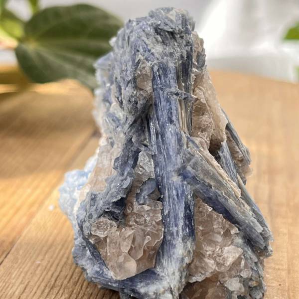 Blue kyanite in quartz - Image 5