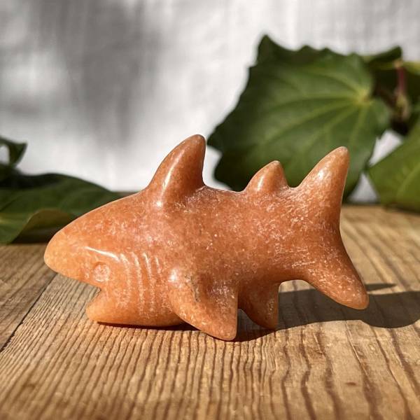 Sunstone shark - Image 2
