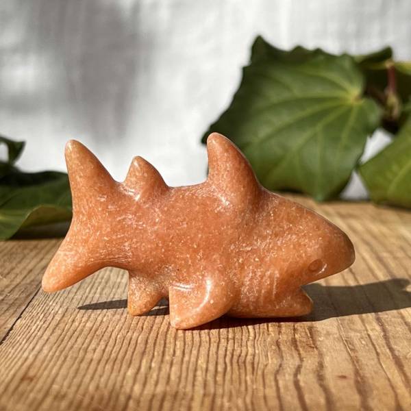 Sunstone shark - Image 4