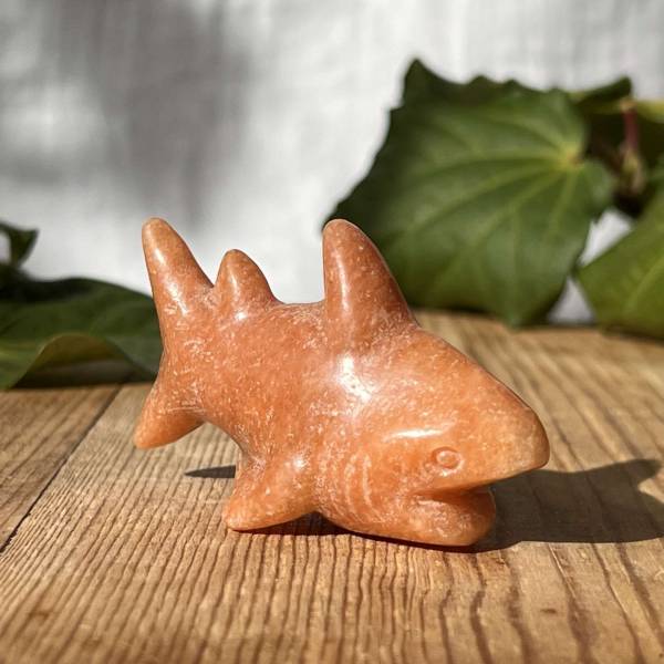 Sunstone shark