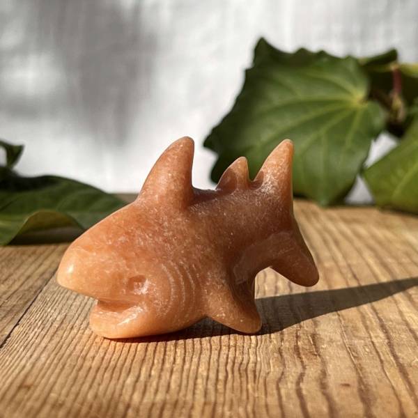 Sunstone shark - Image 3