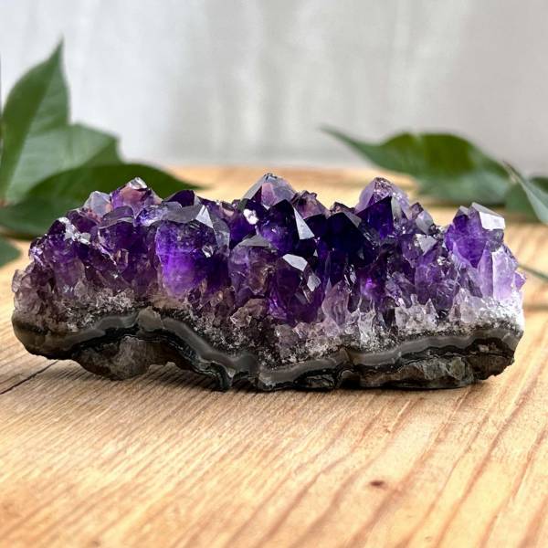 Amethyst cluster