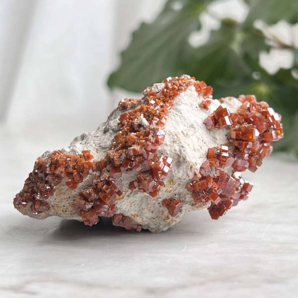 Vanadinite on gypsum - Image 4