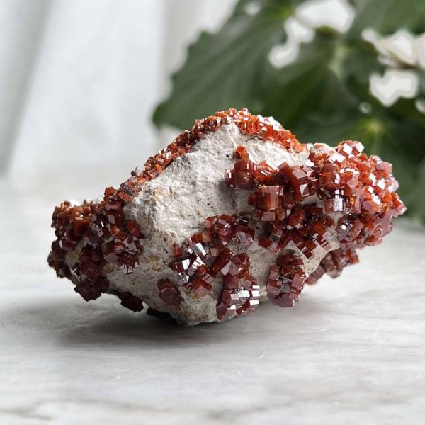 Vanadinite on gypsum - Image 5