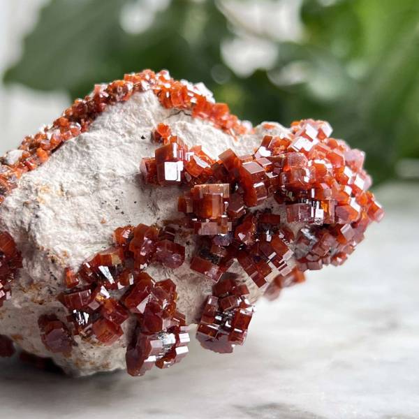 Vanadinite on gypsum - Image 3
