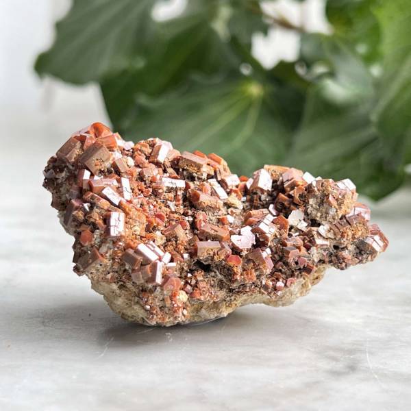 Vanadinite on gypsum
