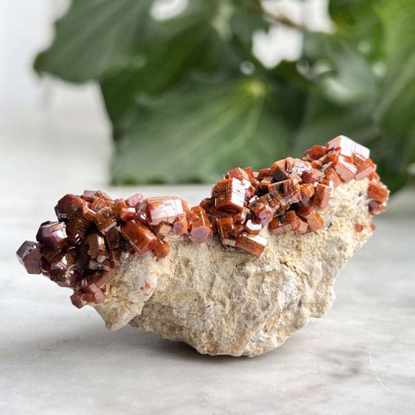 Vanadinite on gypsum - Image 3