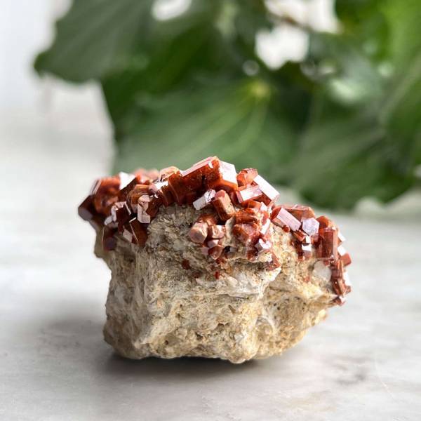 Vanadinite on gypsum - Image 4