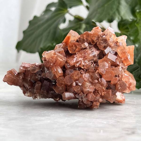 Aragonite