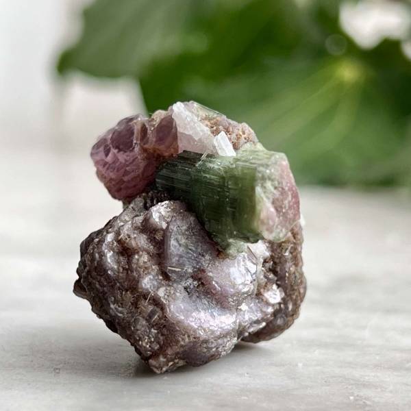 Watermelon tourmaline - Image 4