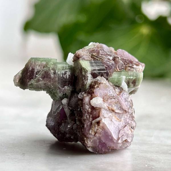 Watermelon tourmaline - Image 3