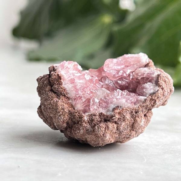 Pink amethyst cluster