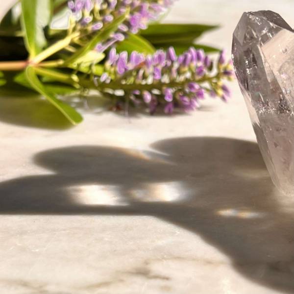 Lemurian quartz point - Image 3