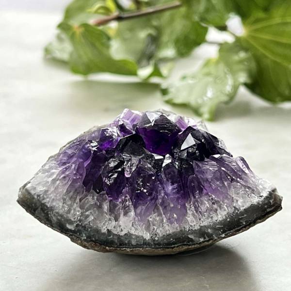 Amethyst cluster