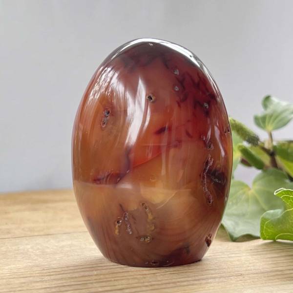 Carnelian freeform