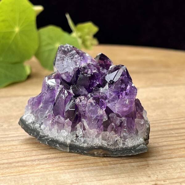 Amethyst cluster