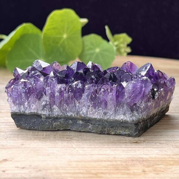 Amethyst cluster