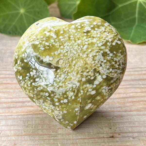 Serpentine heart