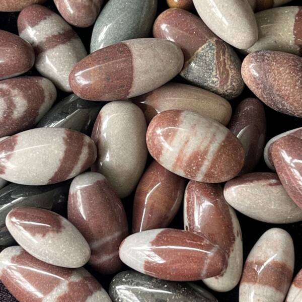 Shiva lingam brown and cream polished ovals of granite from the Narmada river in India Narmedeshwar