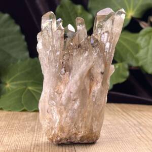 natural standing citrine cluster with multiple points