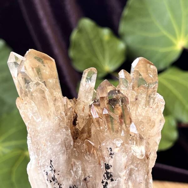 Citrine cluster - Image 6