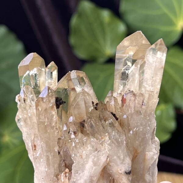 Citrine cluster - Image 5