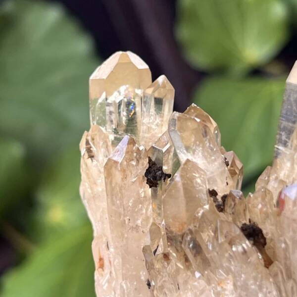 Citrine cluster - Image 4