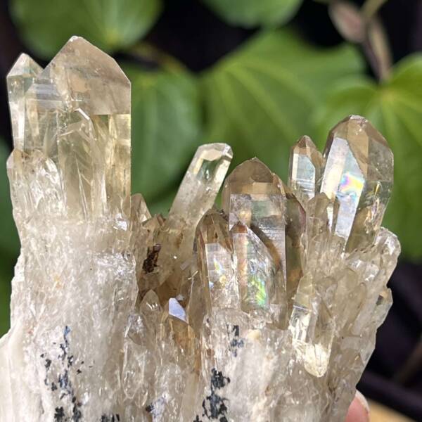 Citrine cluster - Image 3