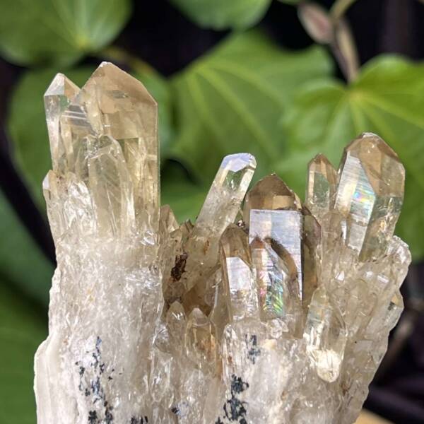 Citrine cluster - Image 2
