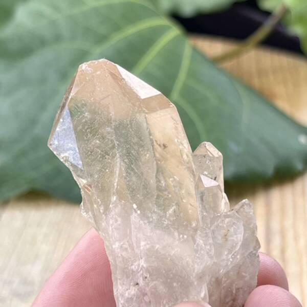 Citrine point - Image 4