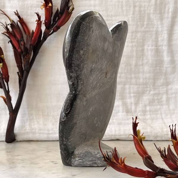 Orthoceras and ammonite - Image 4