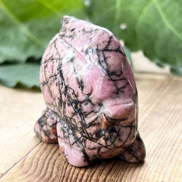 Rhodonite fish - Image 2