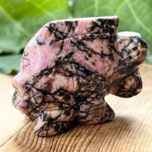 rhodonite fish