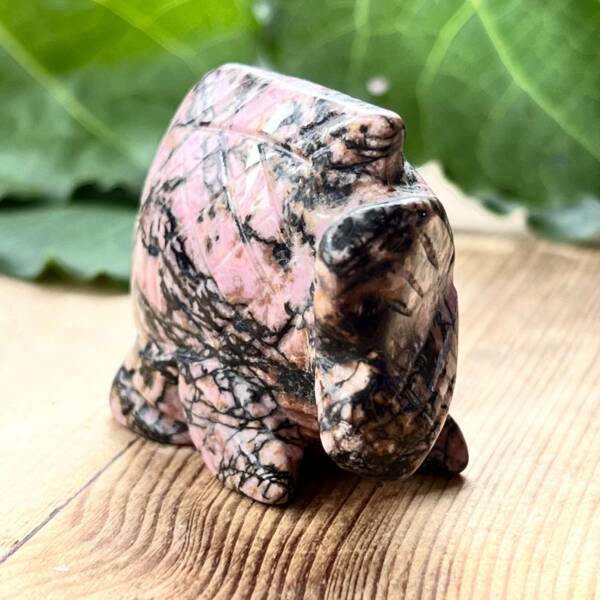 Rhodonite fish - Image 3