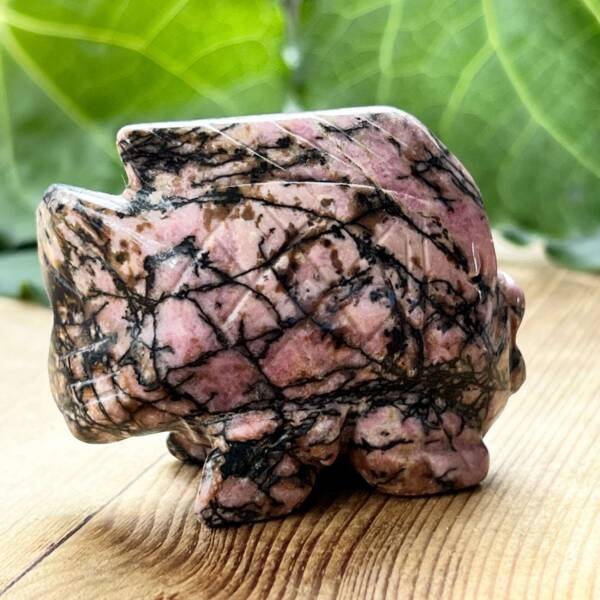 Rhodonite fish - Image 4