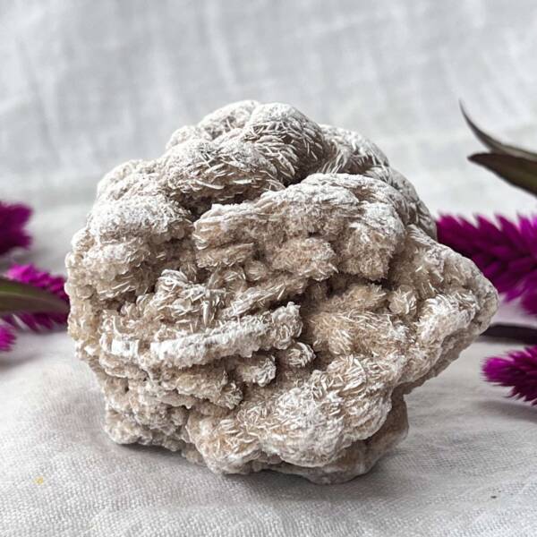 Desert rose - Image 7