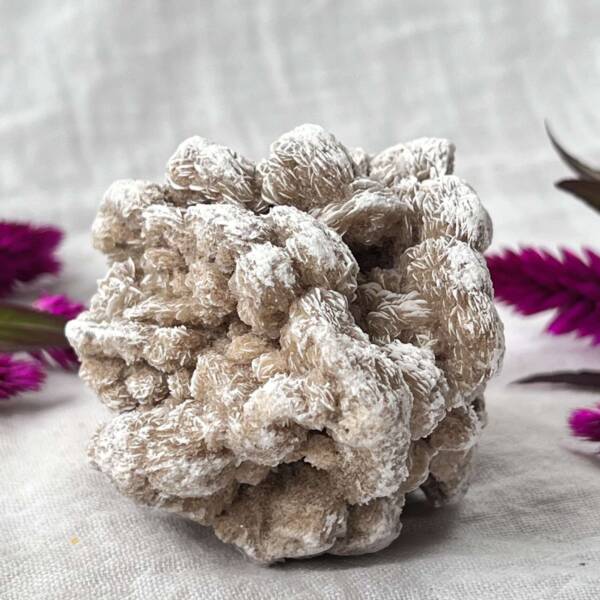 desert rose cluster