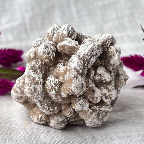 Desert rose - Image 3