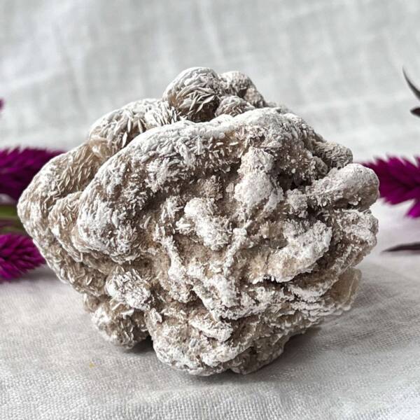Desert rose - Image 4
