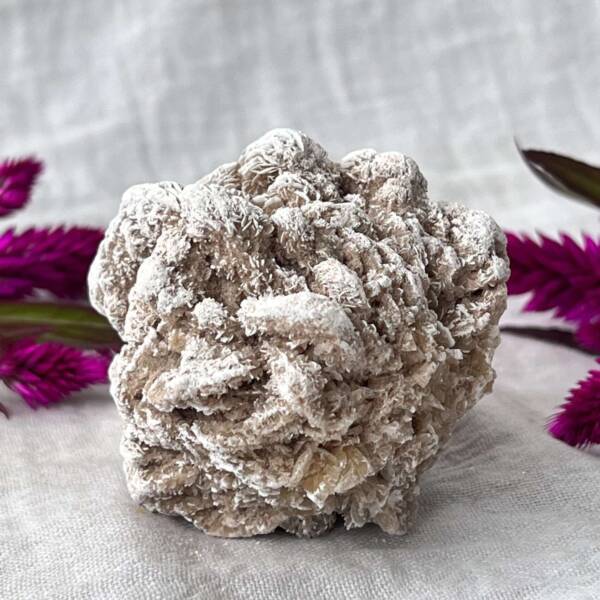 Desert rose - Image 6