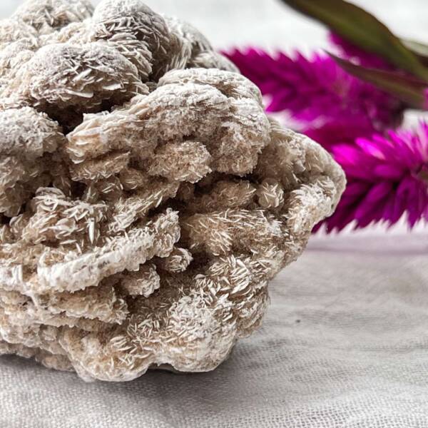Desert rose - Image 5
