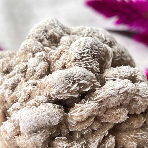 Desert rose - Image 2