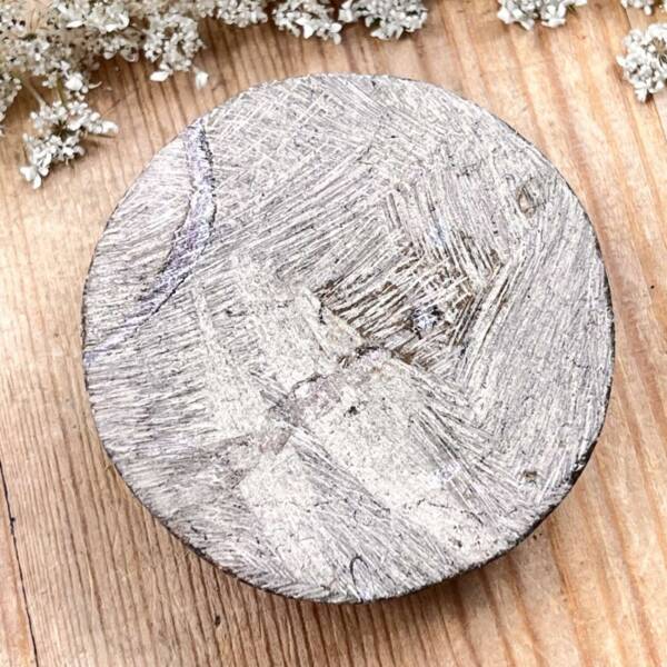 Ammonite - Image 3