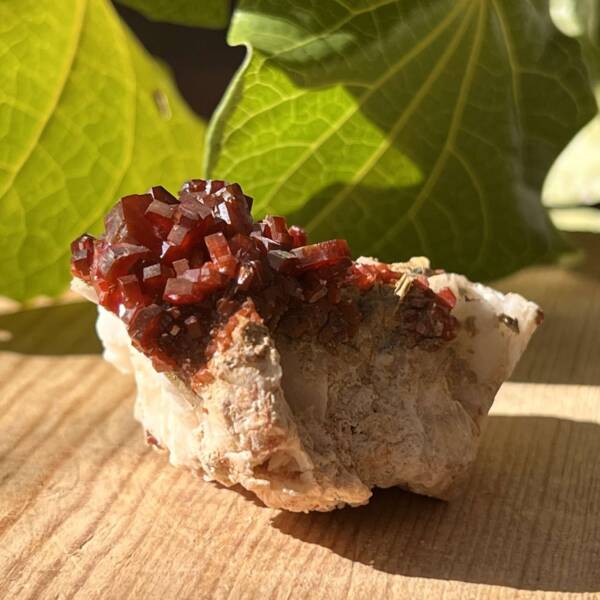 Vanadinite on gypsum - Image 2