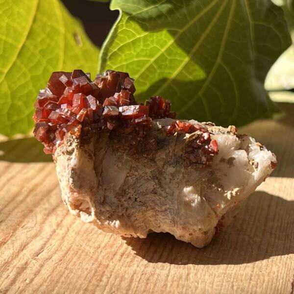 Vanadinite on gypsum - Image 3