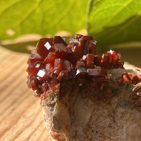 Vanadinite on gypsum - Image 5